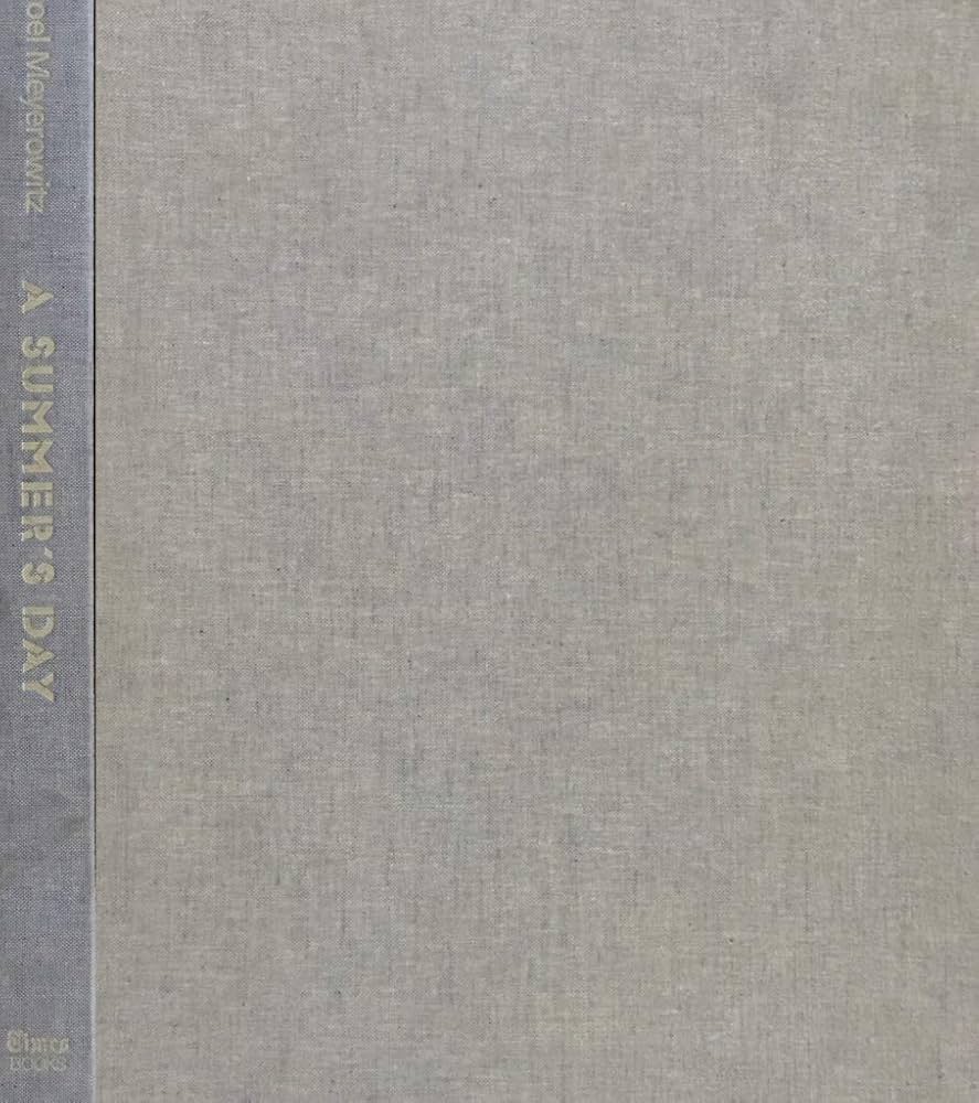 Joel Meyerowitz 写真集 A SUMMER'S DAY 日本語訳版 A SUMMER'S DAY Joel Meyerowitz ジョエル・マイロウィッツ 写真